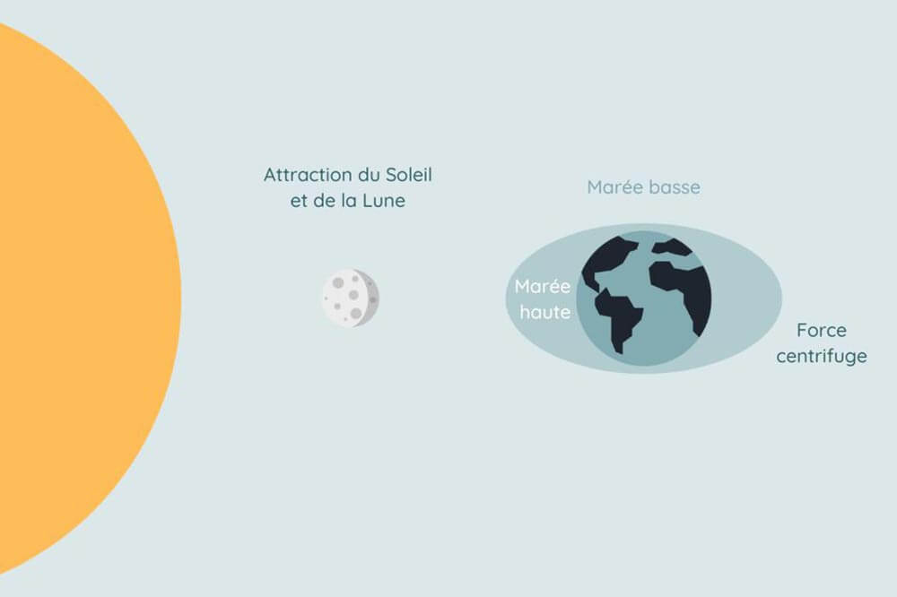 schéma formation des marées